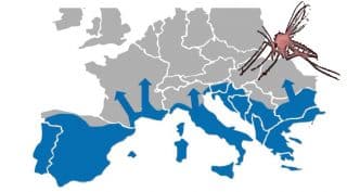 repartition-de-la-leishmaniose-en-europe