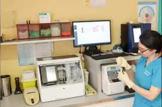 Veterinaire hyeres laboratoire