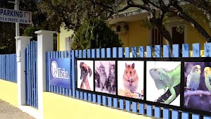 Clinique OLBIA - Vétérinaire Hyères place picture