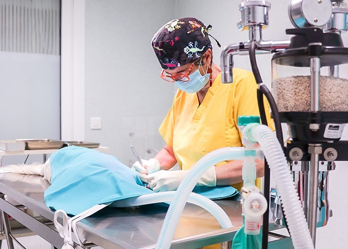 Chirurgie Chirurgie