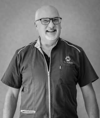 Dr Frederic Balzeau